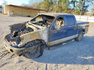 Ford F-150 4.6L 8 2008