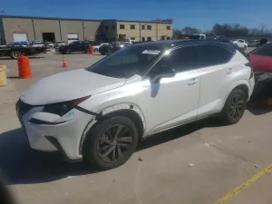 Lexus NX 2.0L 4 2020