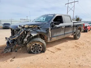 Ford F-250 6.7L 8 2024