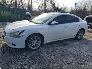 Nissan Maxima 3.5L 6 2011