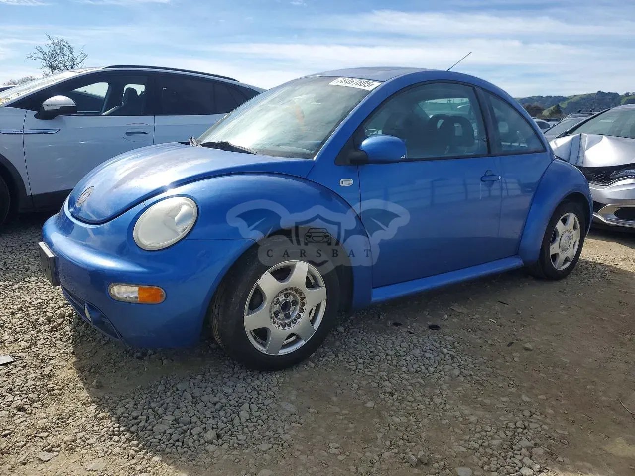 Volkswagen Beetle 2001