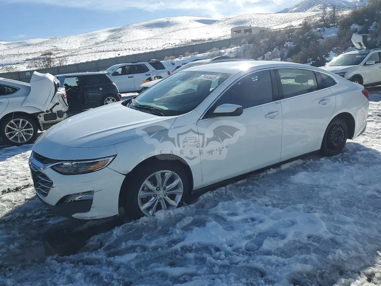 Chevrolet Malibu 1.5L 4 2023