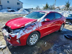 Hyundai Elantra 2.0L 4 2020