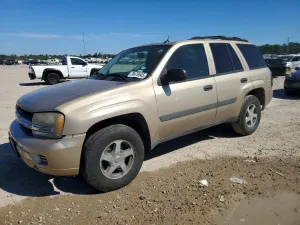 Chevrolet Trailblazer 4.2L 6 2005