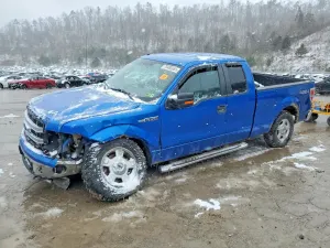 Ford F-150 5.0L 8 2013