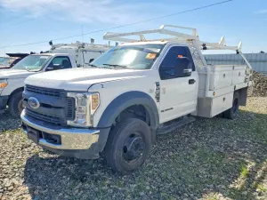 Ford F-450 6.7L 8 2019