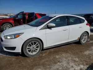 Ford Focus 2.0L 4 2017