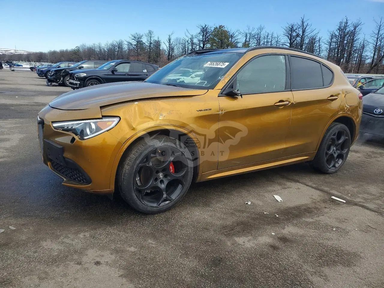 Alfa Romeo Stelvio 2.0L 4 2023