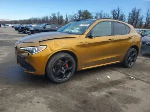 Alfa Romeo Stelvio 2.0L 4 2023