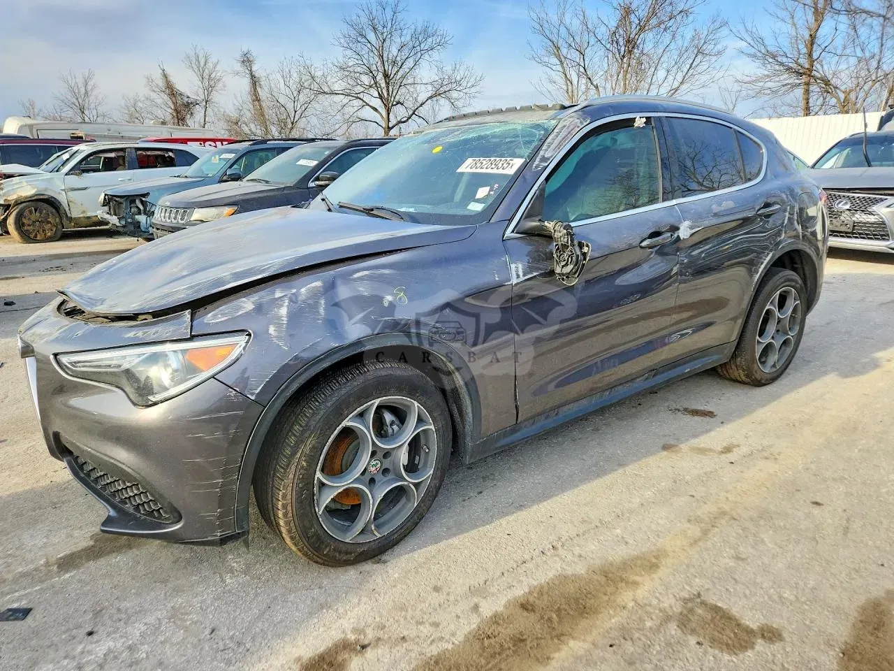 Alfa Romeo Stelvio 2.0L 4 2018