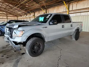 Ford F-150 5.4L 8 2009