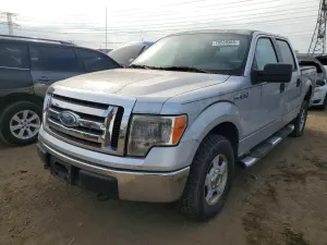 Ford F-150 4.6L 8 2009