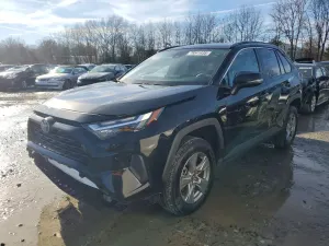 Toyota Rav4 2.5L 4 2024
