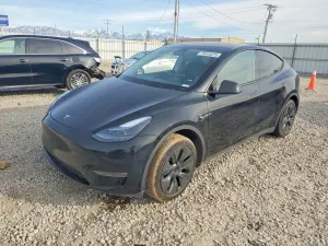 Tesla Model Y 2025