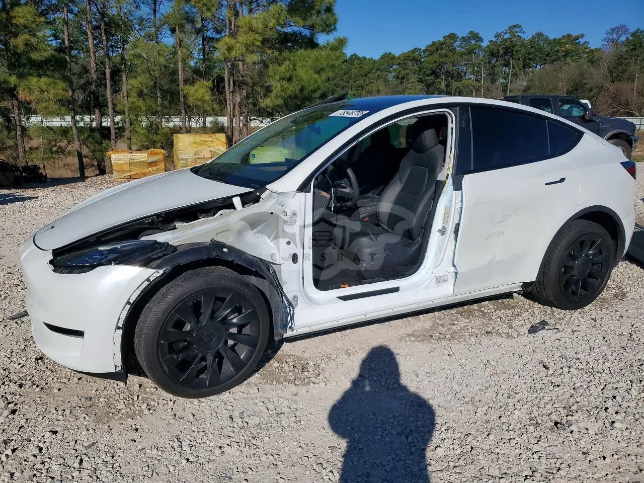 Tesla Model Y 2024