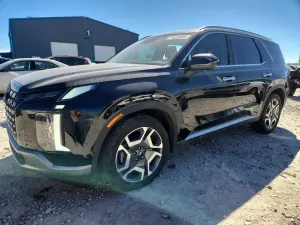 Hyundai Palisade 3.8L 6 2025