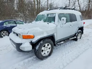 Toyota FJ Cruiser 4.0L 6 2008