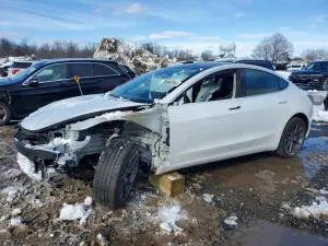 Tesla Model 3 2020
