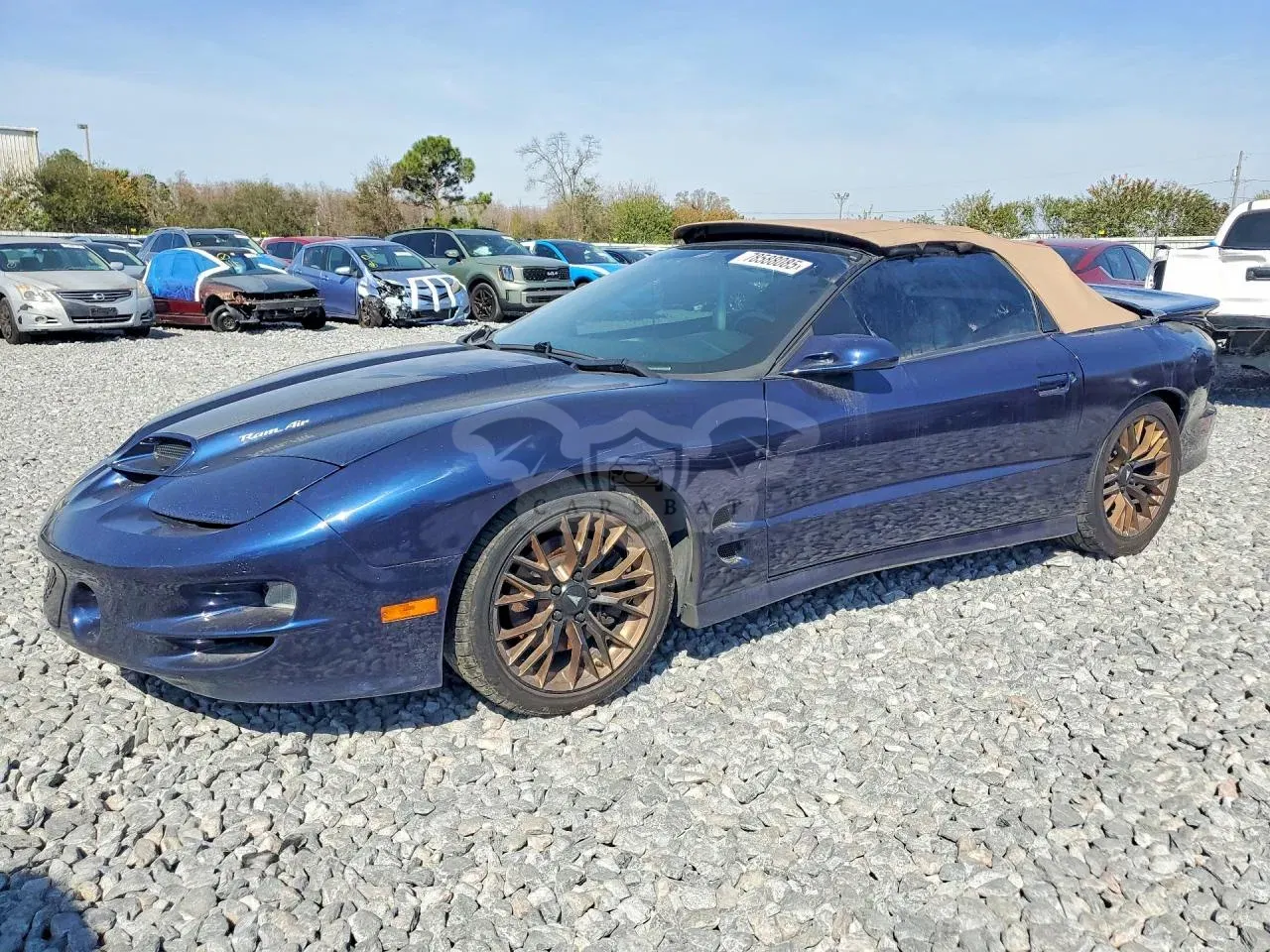 Pontiac Firebird 5.7L 8 2001