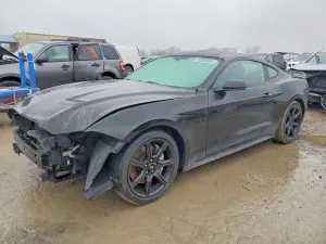 Ford Mustang 5.0L 8 2019