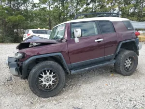 Toyota FJ Cruiser 4.0L 6 2007