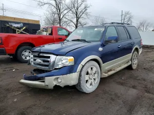 Ford Expedition 5.4L 8 2009