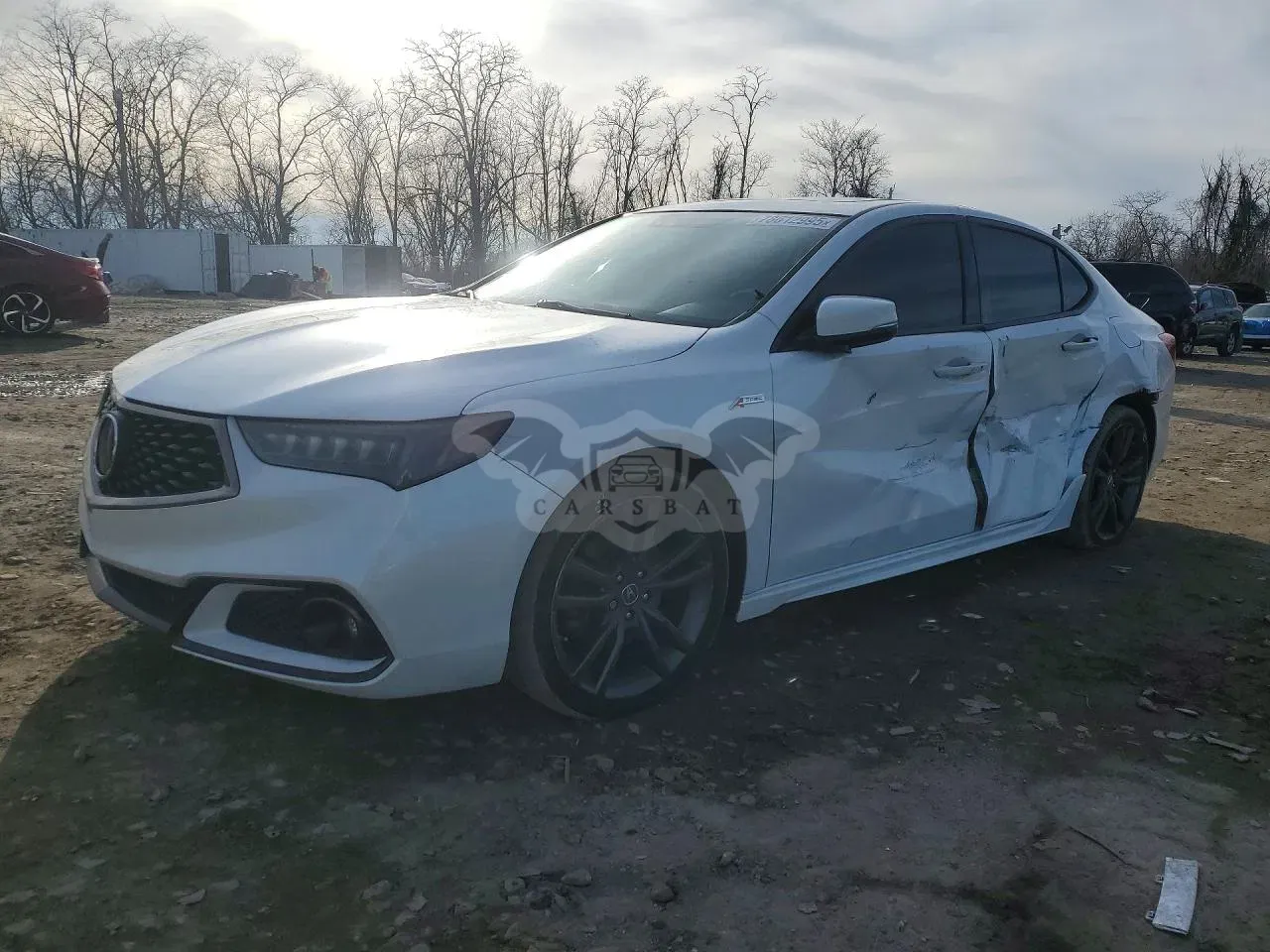 Acura TLX 2019