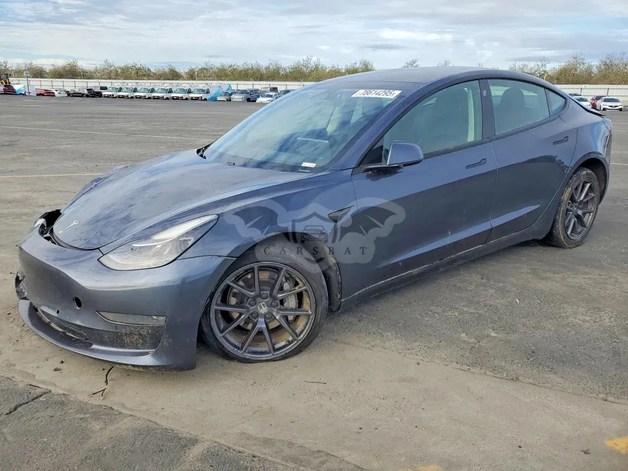 Tesla Model 3 2021