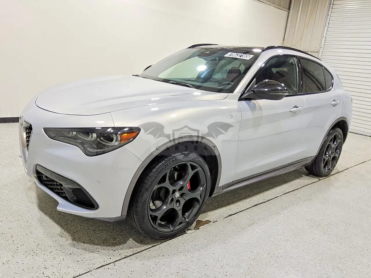 Alfa Romeo Stelvio 2.0L 4 2024