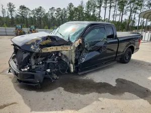 Ford F-150 5.0L 8 2019