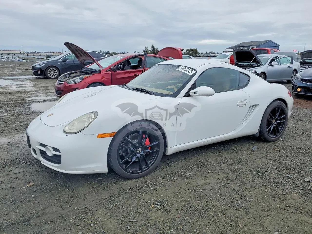 Porsche Cayman 2007