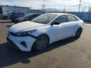 Kia Cerato / Forte / K3 2 L 4 2024
