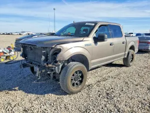 Ford F-150 5.0L 8 2019