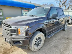 Ford F-150 5.0L 8 2019