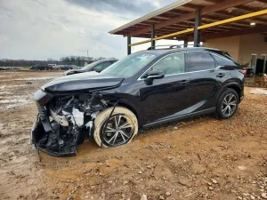 Lexus RX 2.4L 4 2023