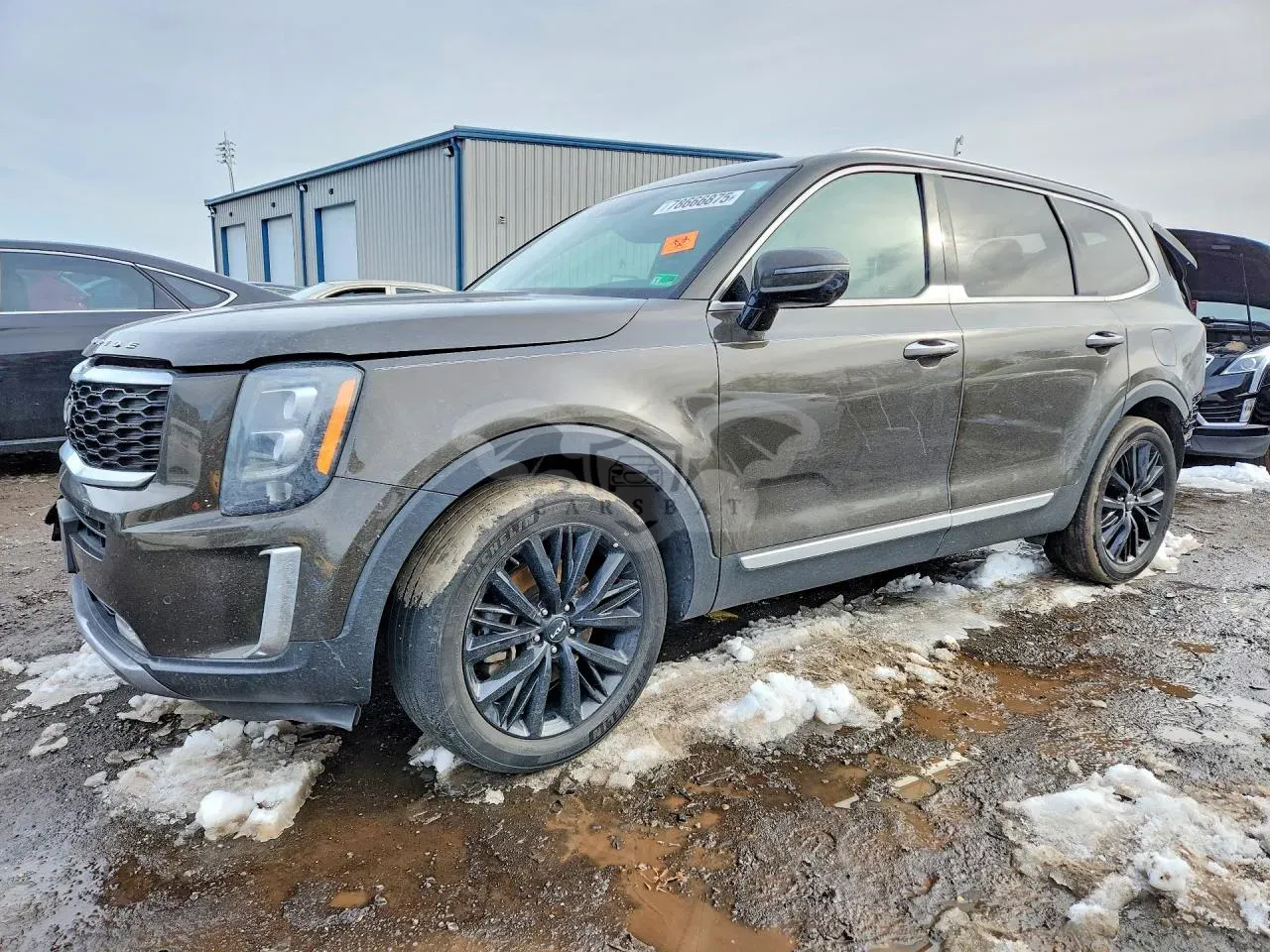 Kia Telluride 3.8L 6 2022
