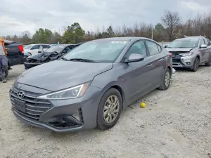 Hyundai Elantra 2.0L 4 2019