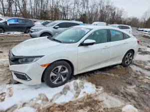 Honda Civic 2.0L 4 2020