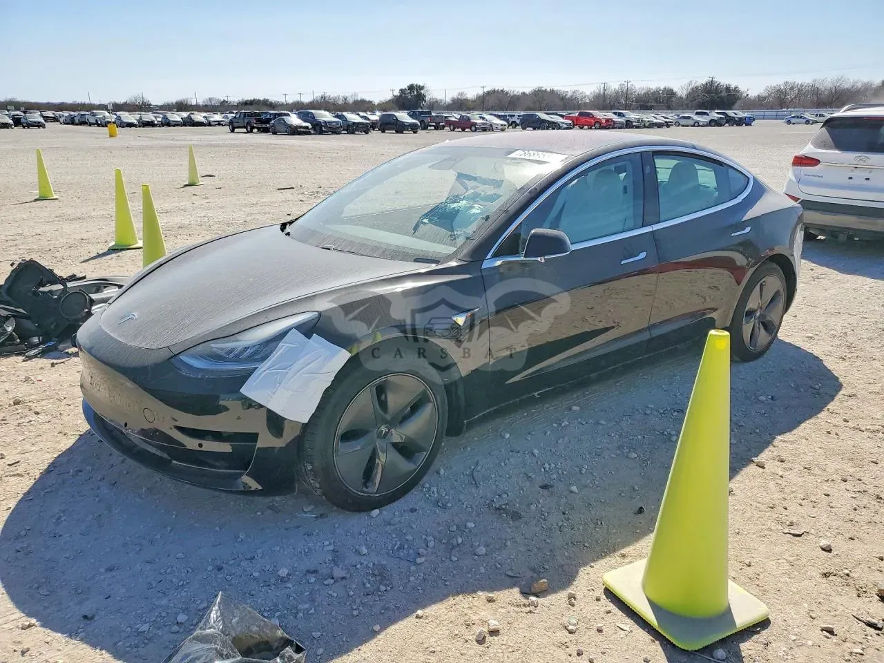 Tesla Model 3 2019