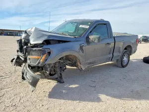 Ford F-150 5.0L 8 2025