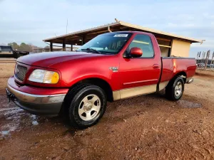 Ford F-150 4.6L 8 2002