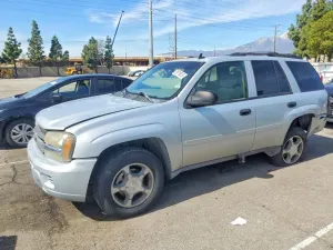 Chevrolet Trailblazer 4.2L 6 2007
