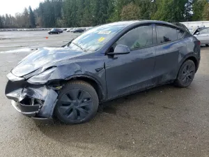 Tesla Model Y 2025