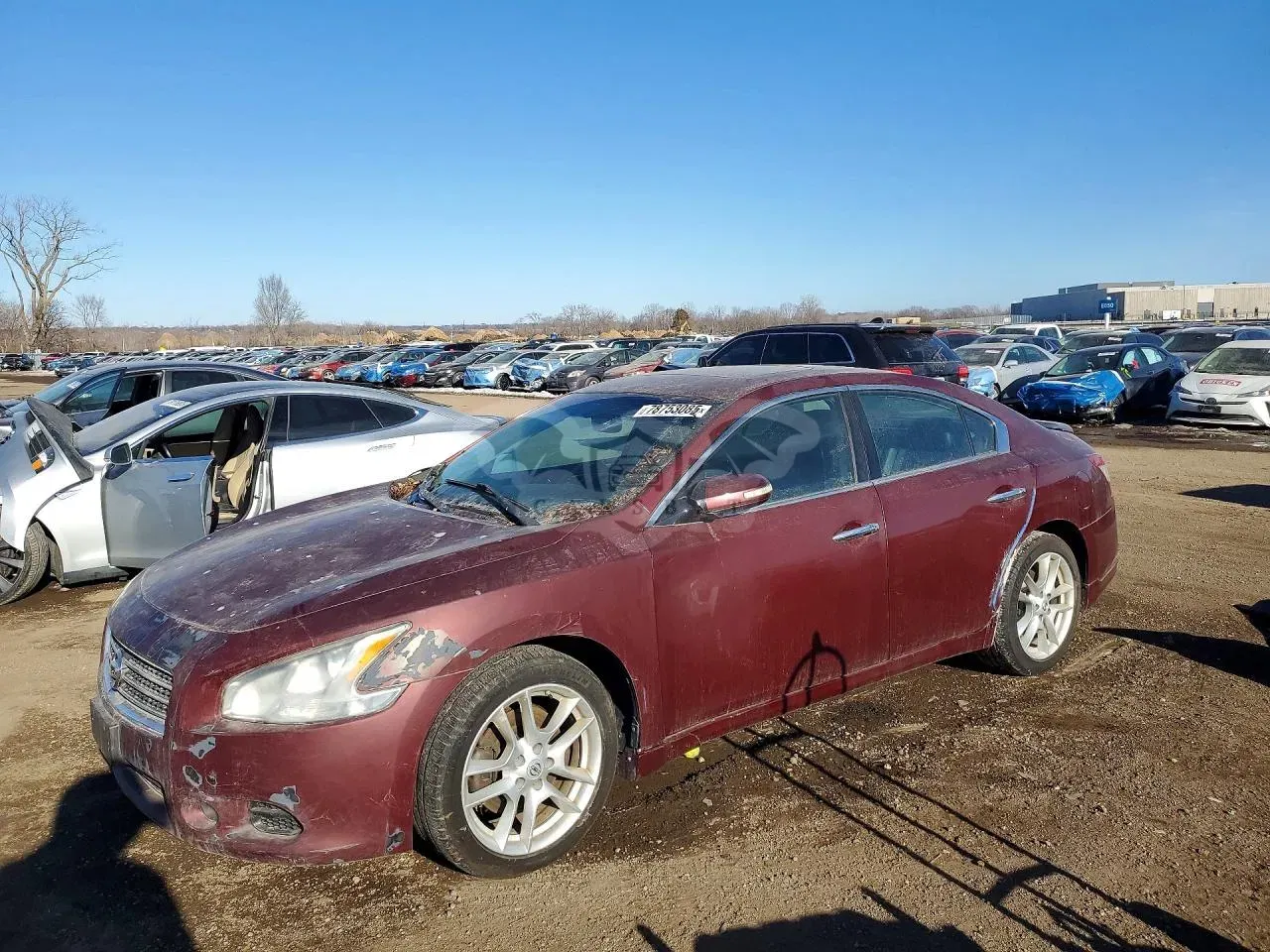 Nissan Maxima 3.5L 6 2011
