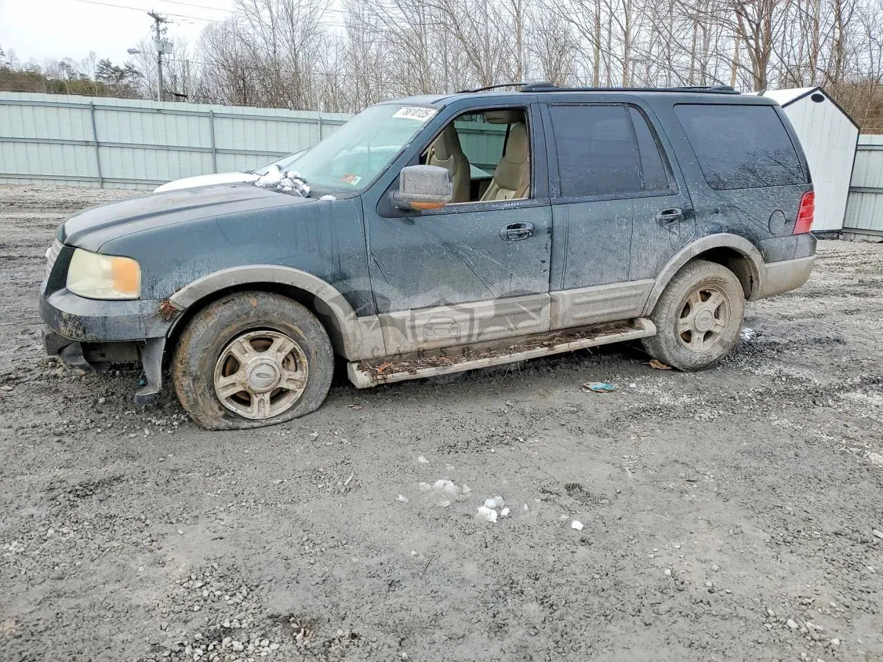 Ford Expedition 5.4L 8 2004