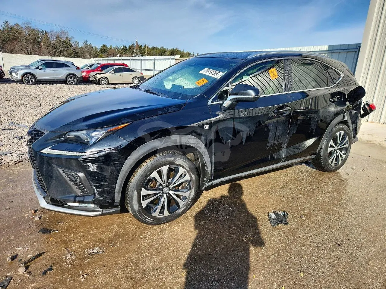 Lexus NX 2.0L 4 2018