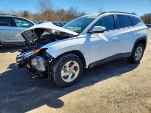 Hyundai Tucson 2.5L 4 2024
