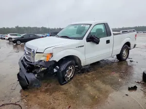 Ford F-150 4.6L 8 2010