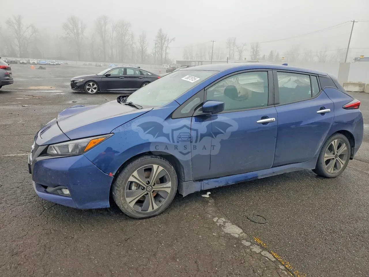 Nissan Leaf 0.0L 0 2020
