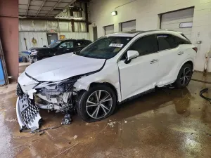 Lexus RX 2.4L 4 2024